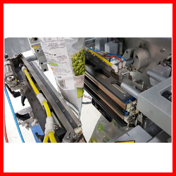 Soap Packing Machine